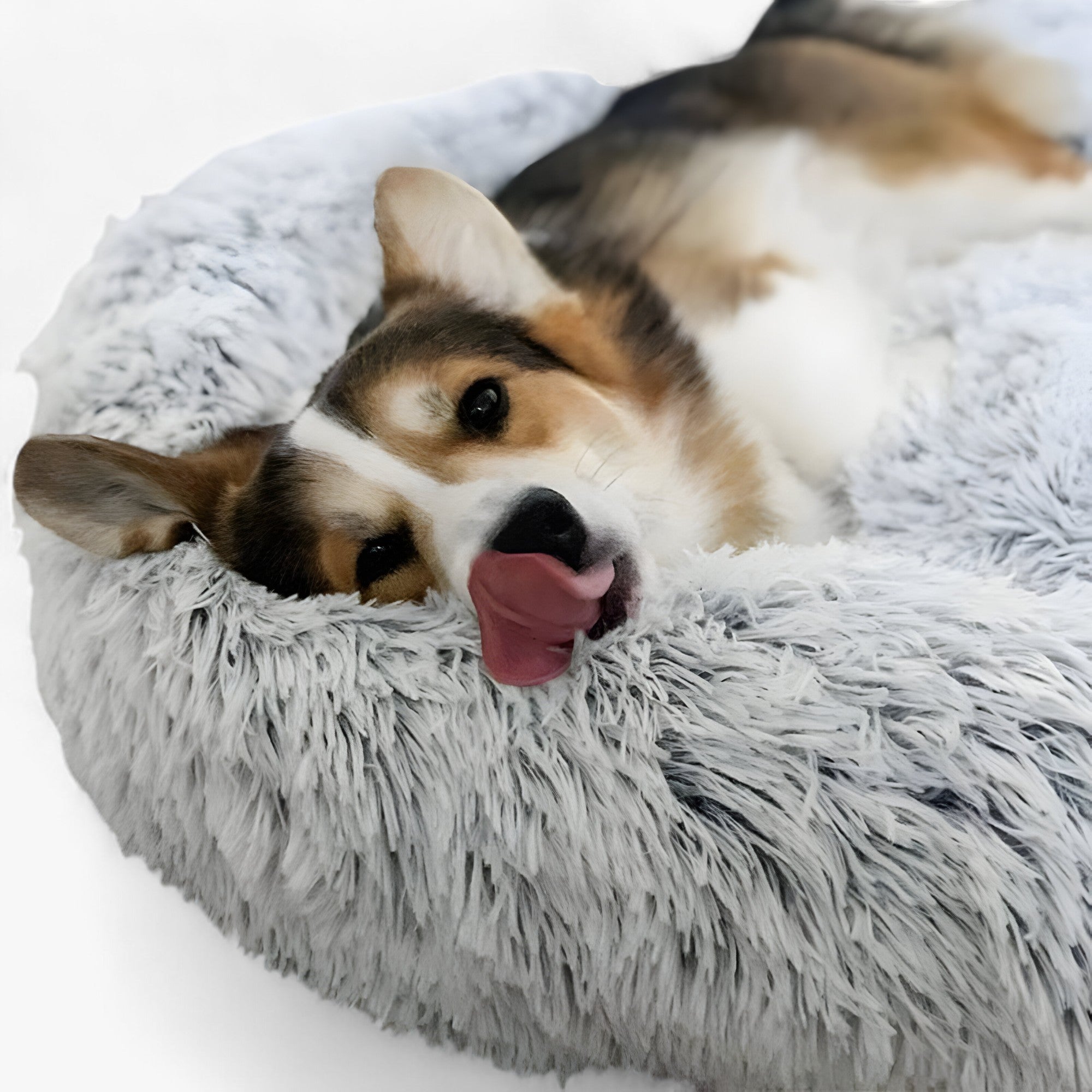 Rustgevende Bed Voor Dieren – Gezellige Comfort En Herstellende Slaap