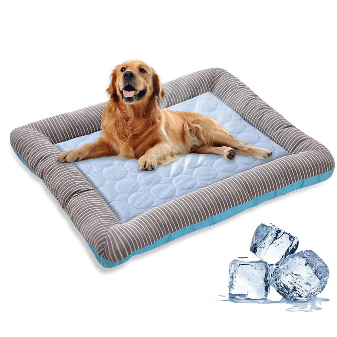 Cuscino Rinfrescante Per Cani – Freschezza E Comfort In Estate