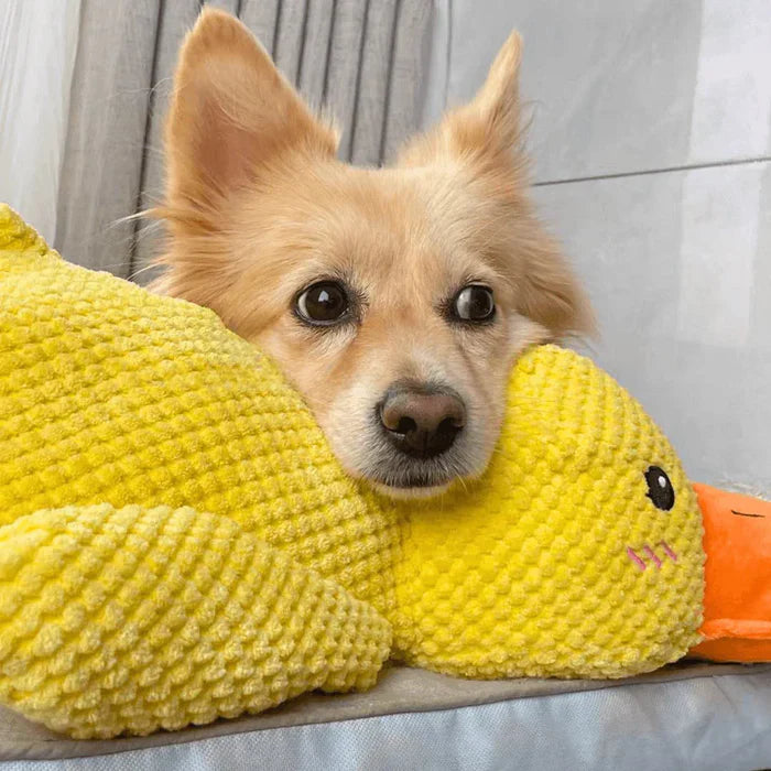 Giocattolo Anatra Rilassante Per Cani – Compagno Di Gioco E Di Relax