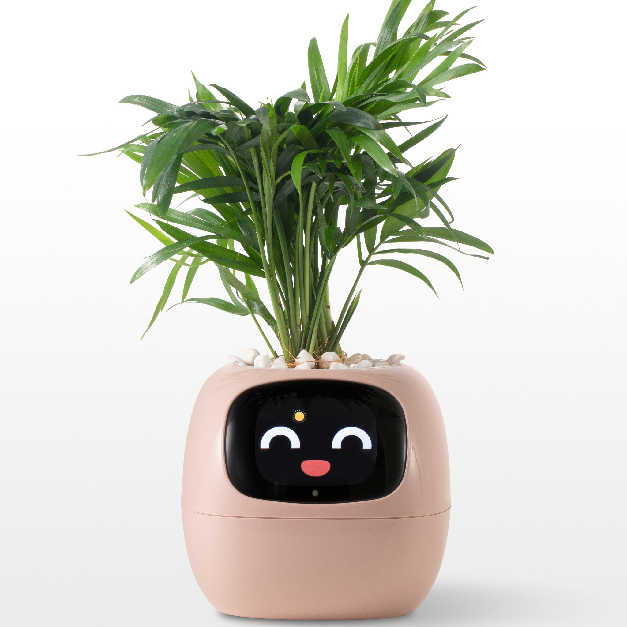 Emoji Γλάστρα – Πρωτότυπη και Διασκεδαστική Διακόσμηση