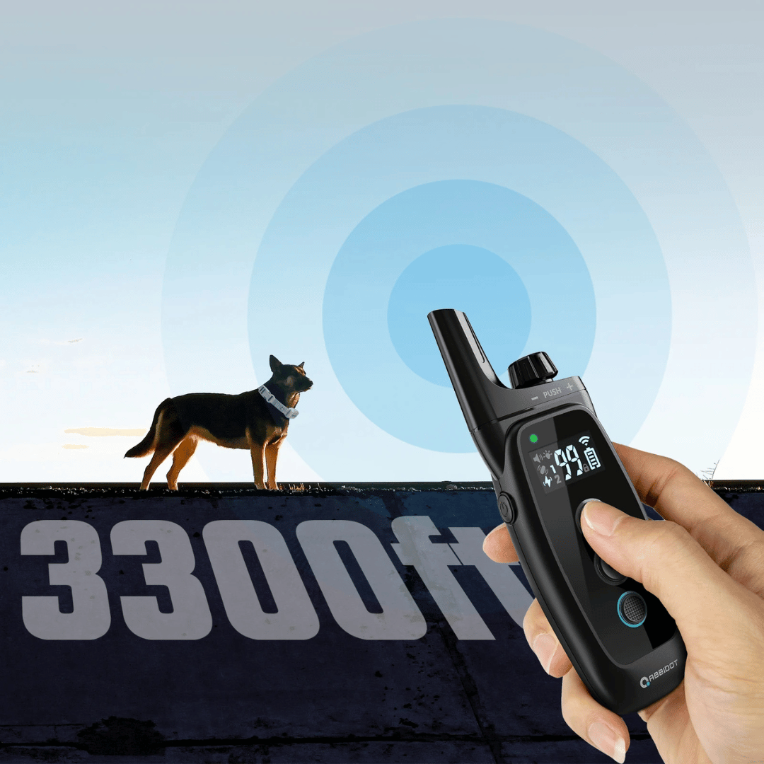 Hundträningshalsband – LED-fjärrkontroll och räckvidd 1000 m