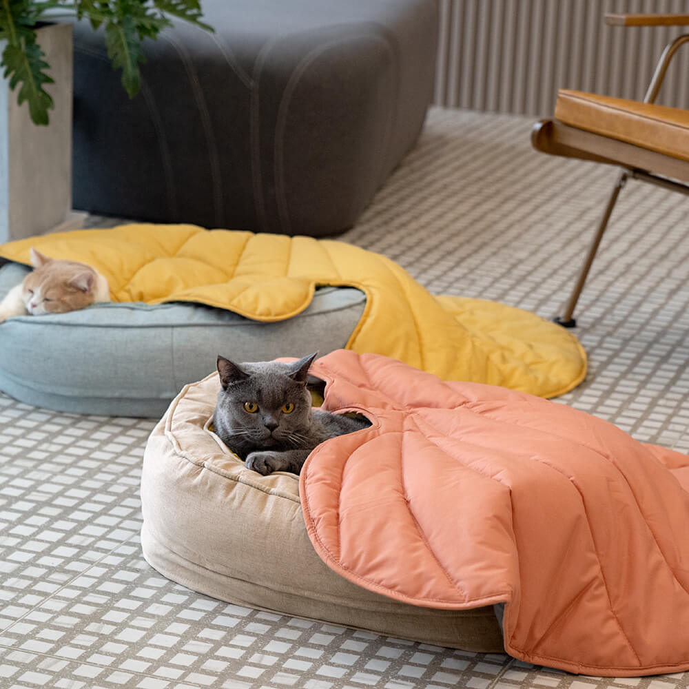 Letto a forma di ciambella per cani – Comfort e dolcezza