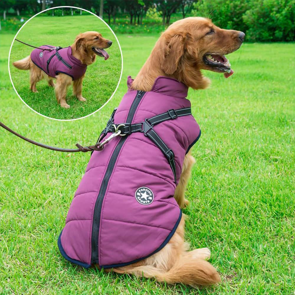 Vandtæt Parka til Hund - Beskyttelse & Stil