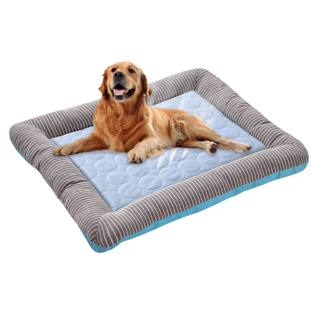 Cuscino Rinfrescante Per Cani – Freschezza E Comfort In Estate