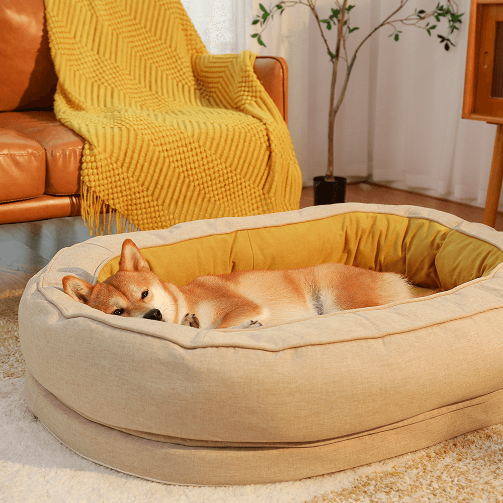 Letto a forma di ciambella per cani – Comfort e dolcezza