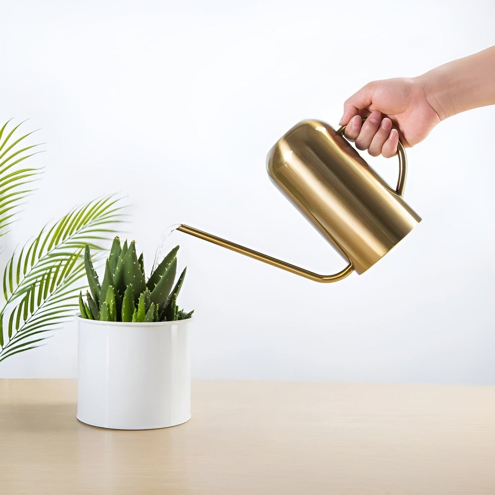 Arrosoir Bec Long 1,5 Litre — Capacité Pratique & Arrosage Délicat