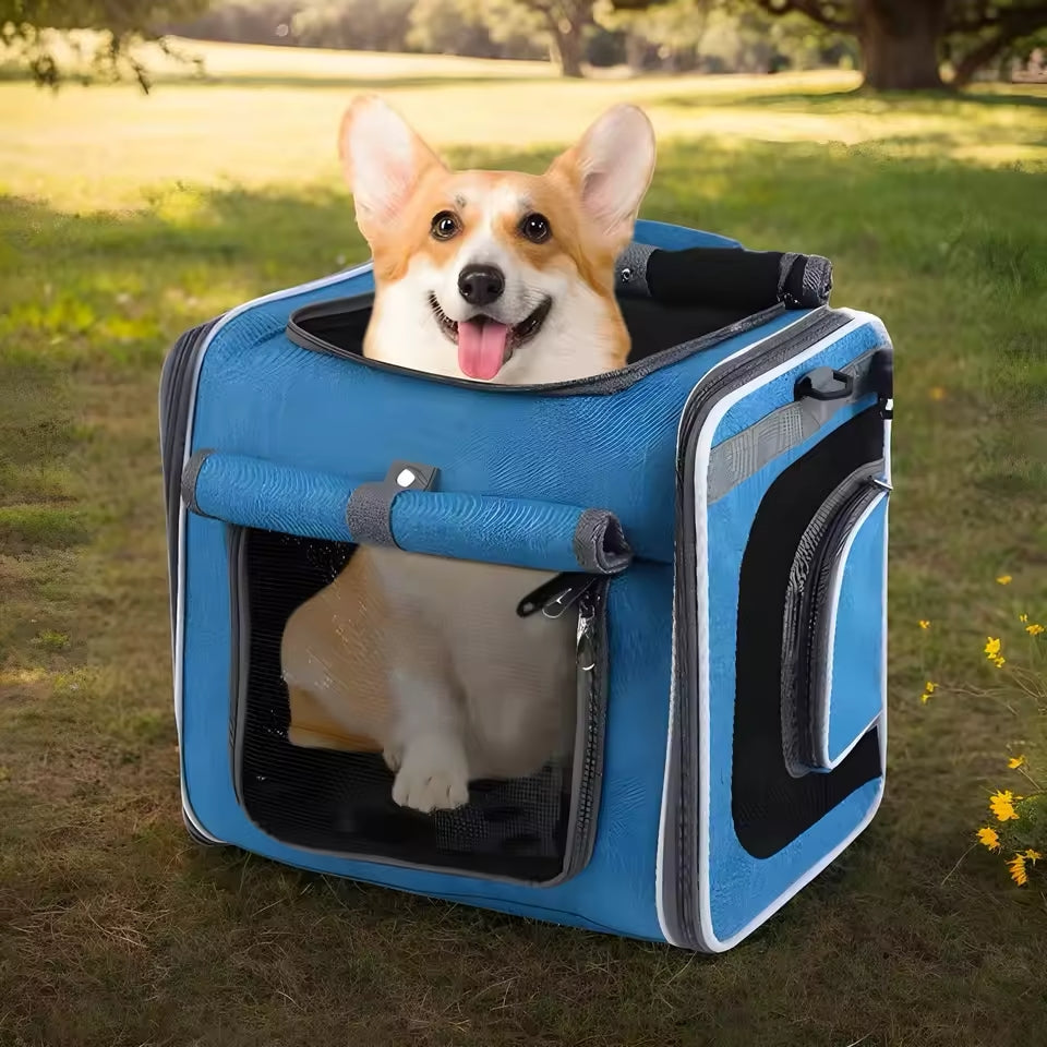 Cesta per bici estensibile per animali – Pratica e confortevole