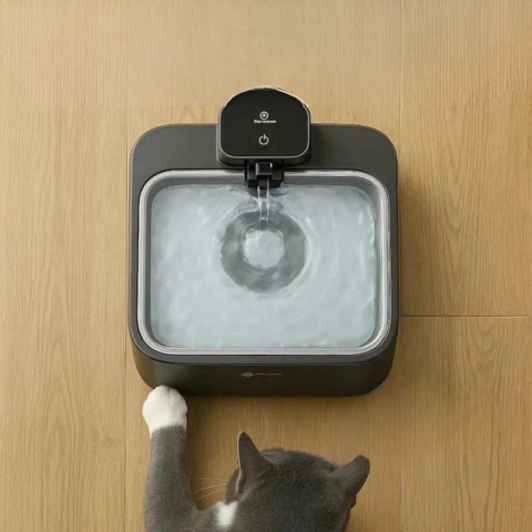 Trinkbrunnen für Katzen ohne Kabel – Freiheit und kontinuierliche Hydration