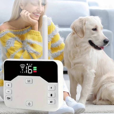 Draadloze Omheining Met Trainingshalsband – Veiligheid En Opleiding Voor Honden