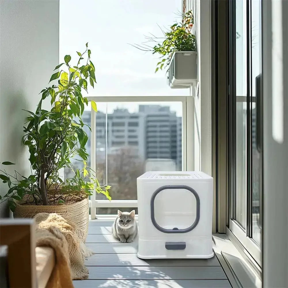 Kattlåda Anti-Lukt – Renhet Och Komfort Garanterad