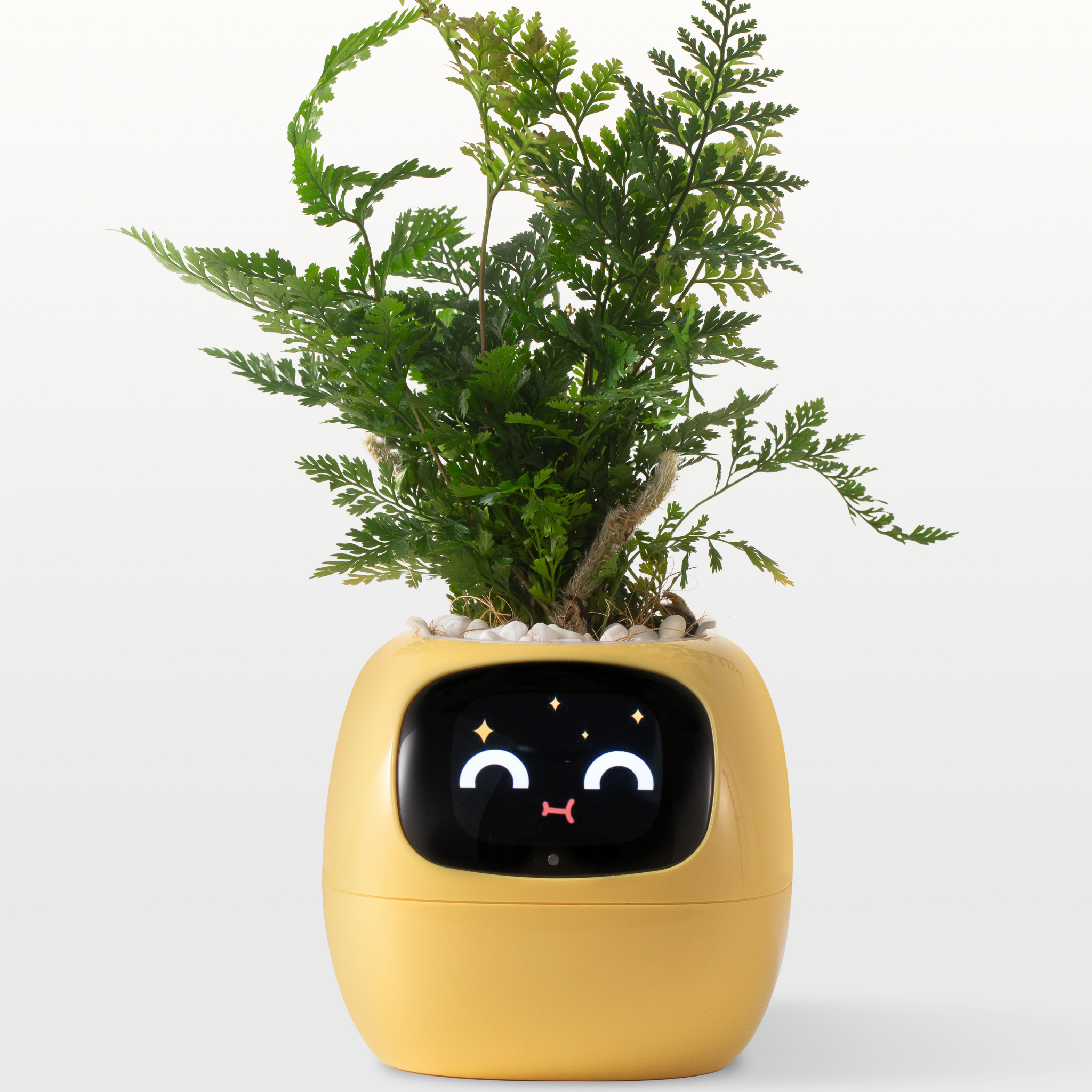 Emoji Γλάστρα – Πρωτότυπη και Διασκεδαστική Διακόσμηση