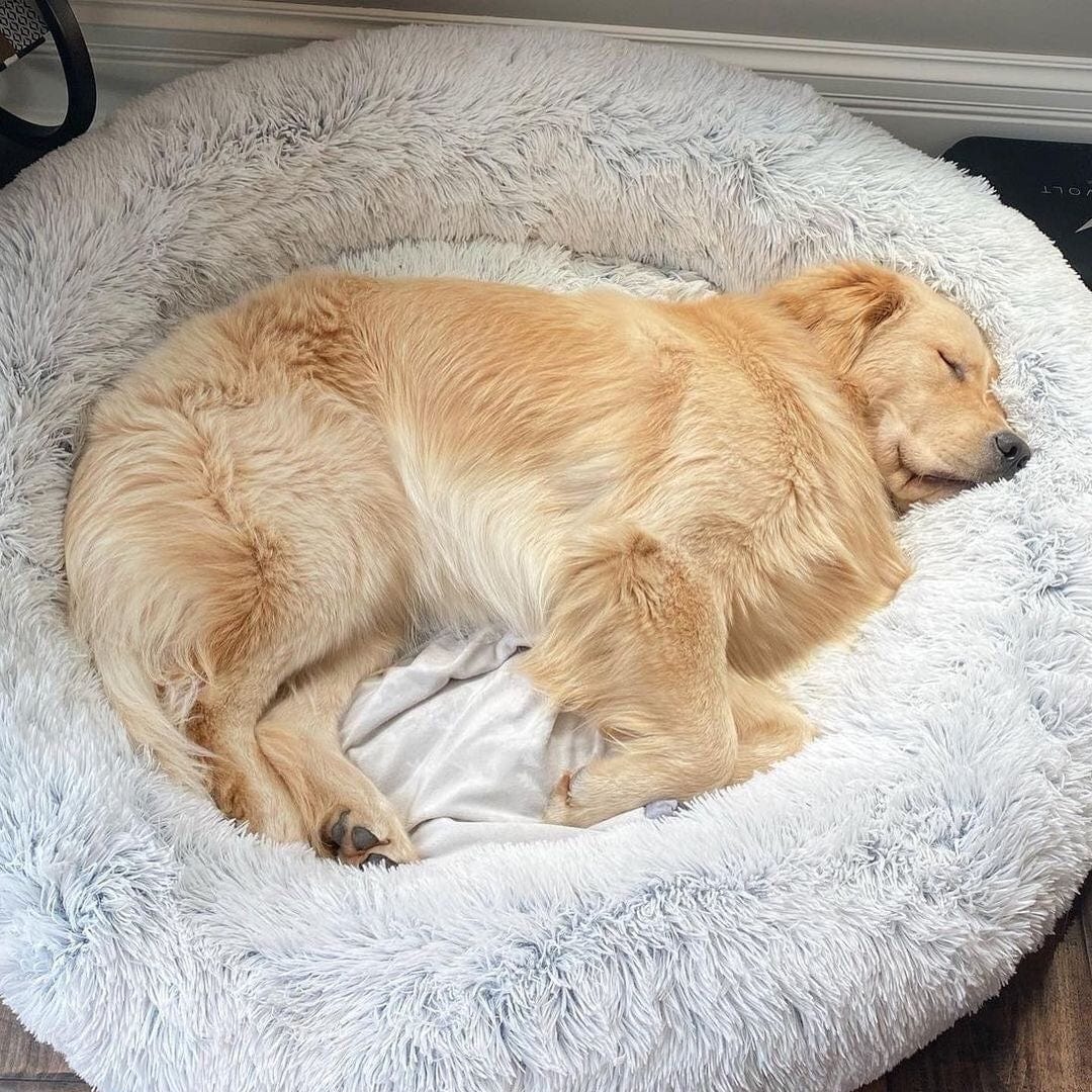 Ultra Soft Calming Bed for Pets – Comfort and Serenity 