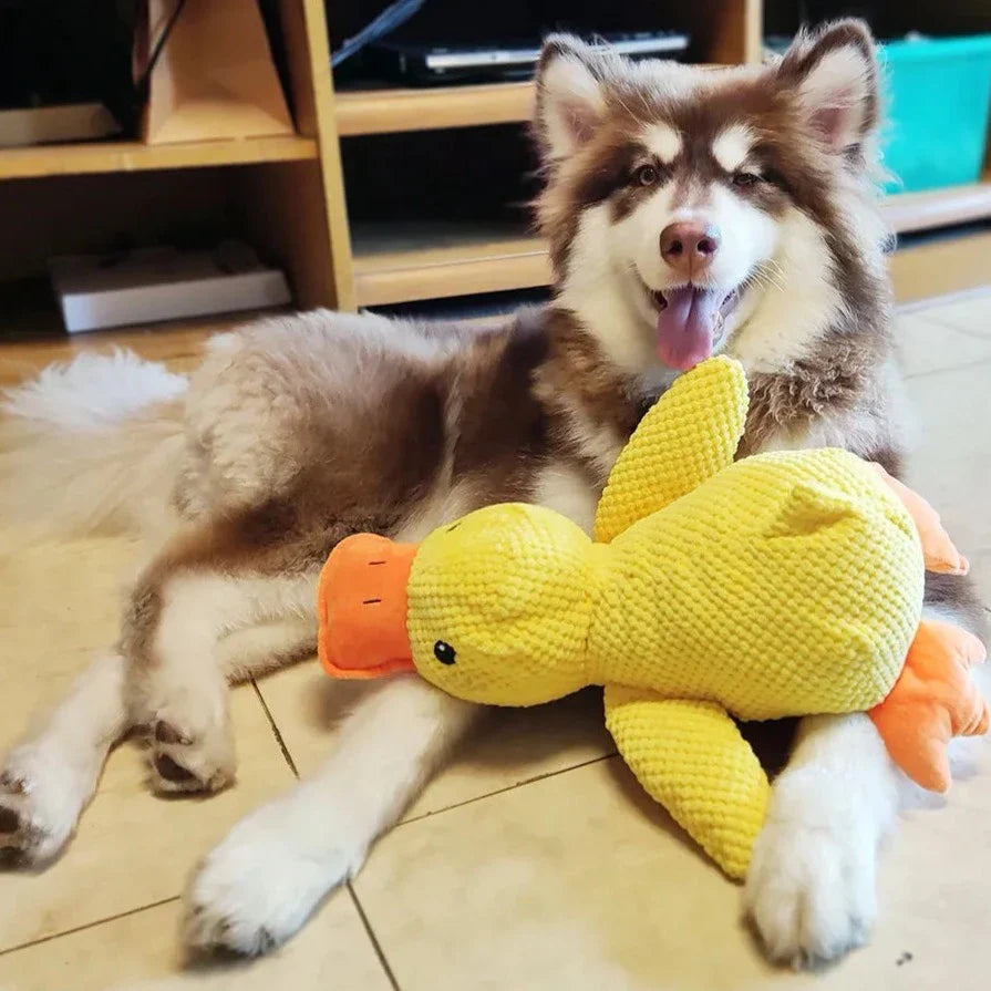 Giocattolo Anatra Rilassante Per Cani – Compagno Di Gioco E Di Relax 