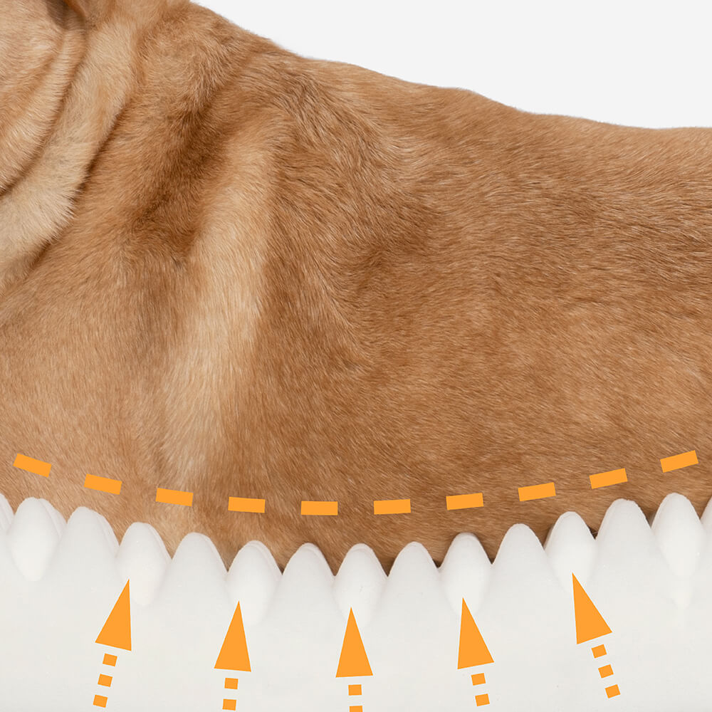 Lit En Forme De Beignet Pour Chien – Confort Et Douceur
