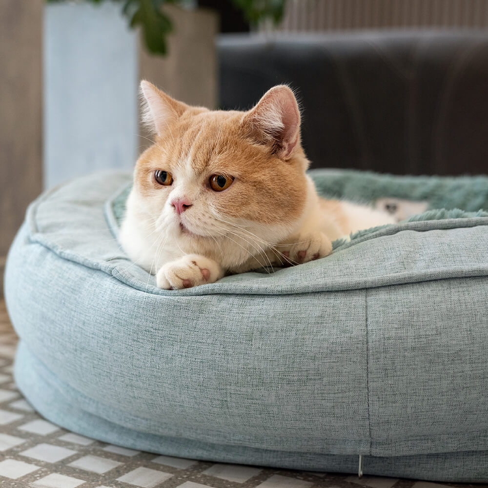 Lit En Forme De Beignet Pour Chien – Confort Et Douceur