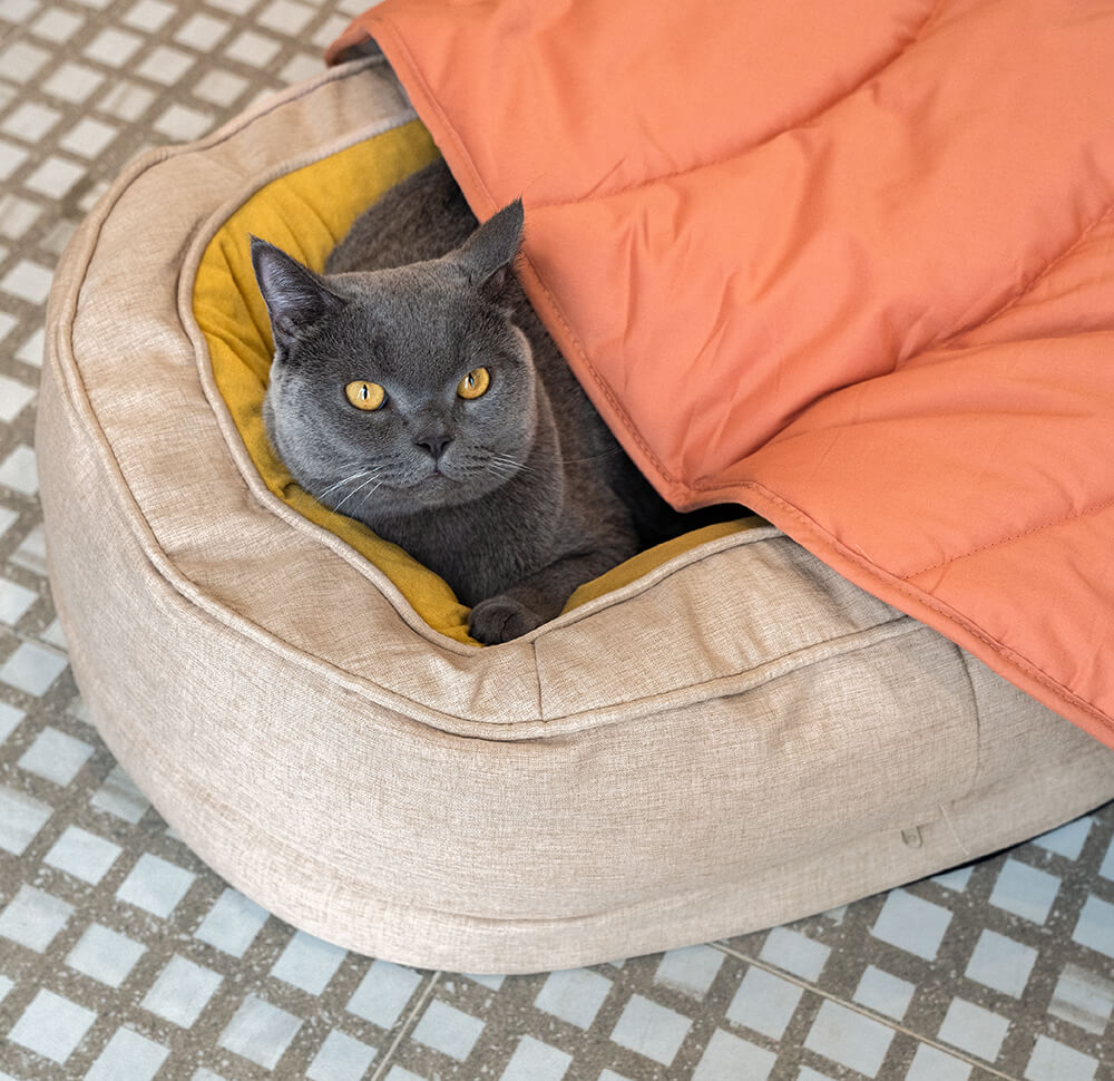 Lit En Forme De Beignet Pour Chien – Confort Et Douceur