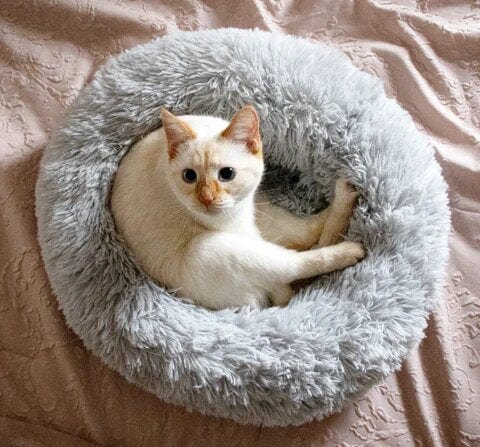 Ultra Soft Calming Bed for Pets – Comfort and Serenity 
