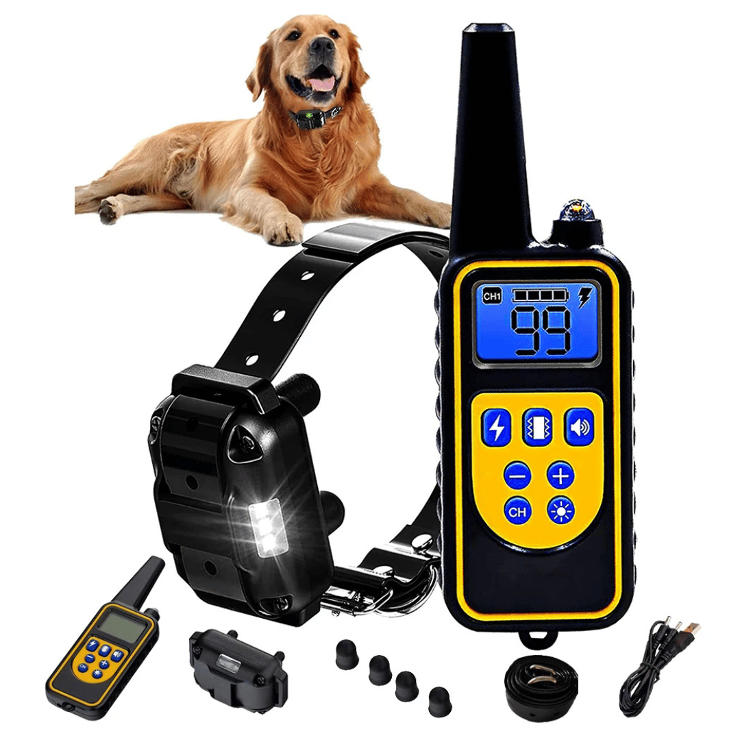 Collier De Dressage Télécommandé – Portée 800 m, Étanche Et Rechargeable