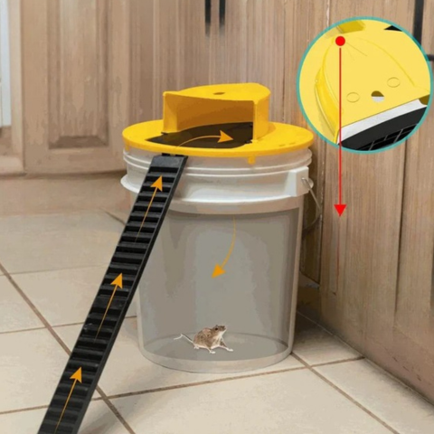 Armadilha para ratos com tampa de balde - Sistema automático sem contacto
