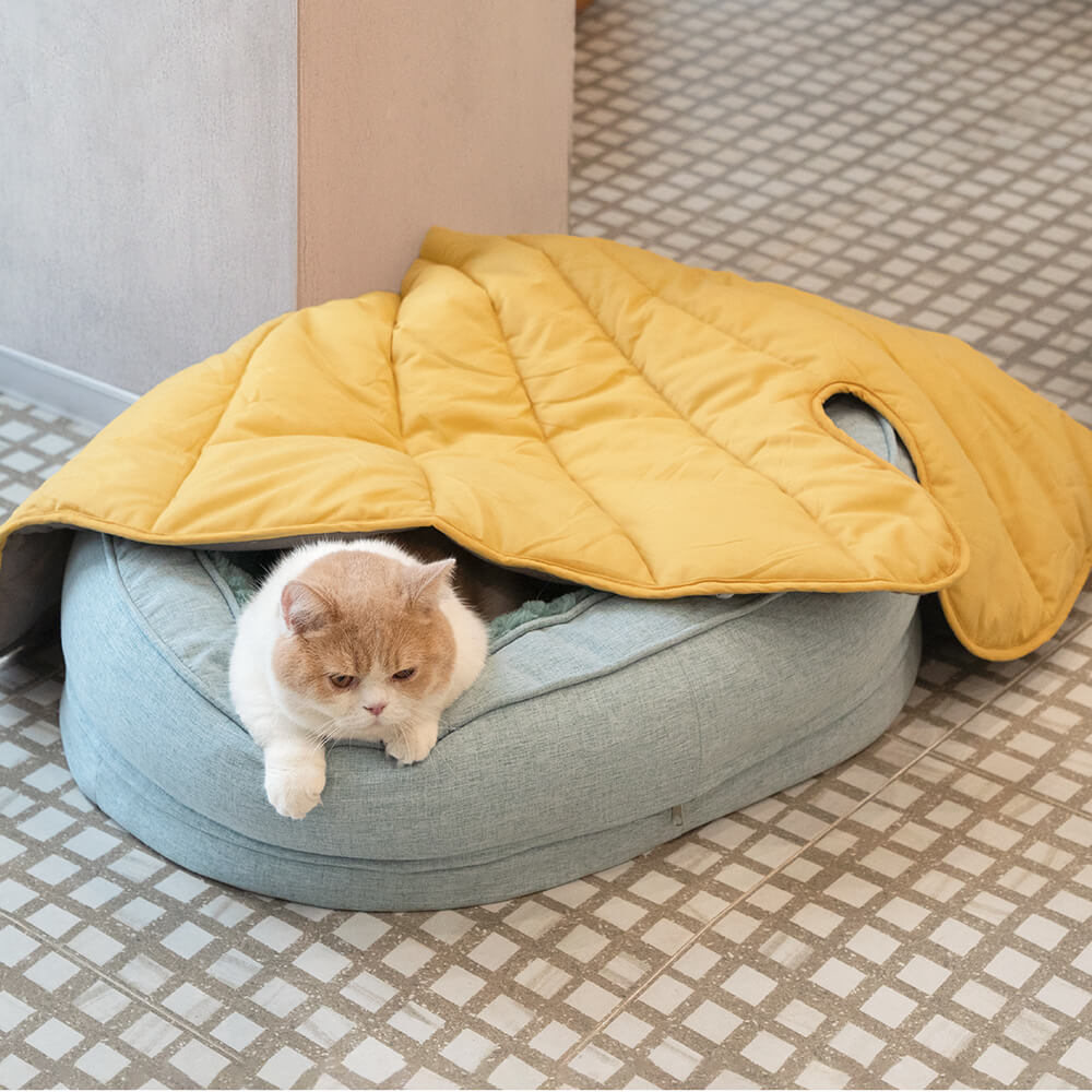 Lit En Forme De Beignet Pour Chien – Confort Et Douceur