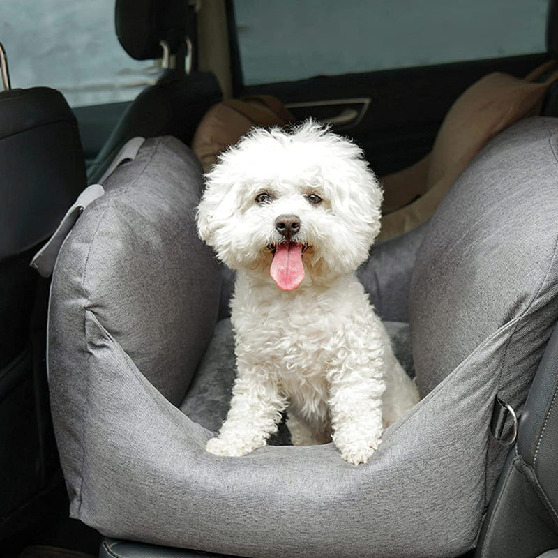 Lit De Voyage Apaisant Pour Chien — Repos Serein Et Facile À Transporter