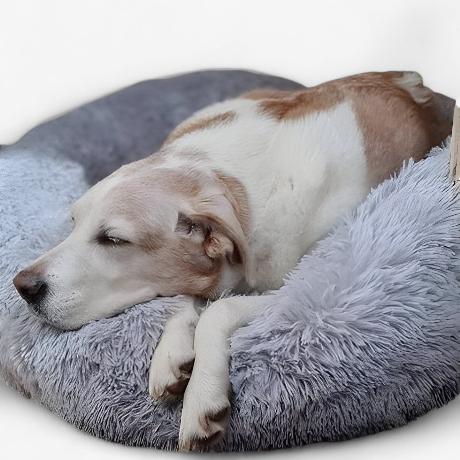 動物のための心地よいベッド – 快適で修復的な睡眠 