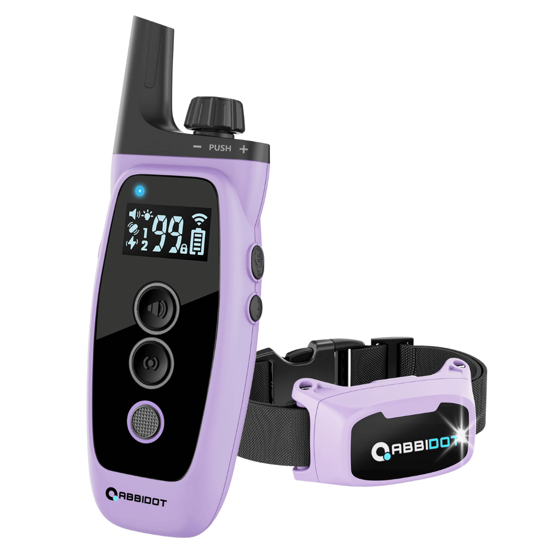 Halsband für Hundetraining – LED-Fernbedienung und Reichweite 1000 m 