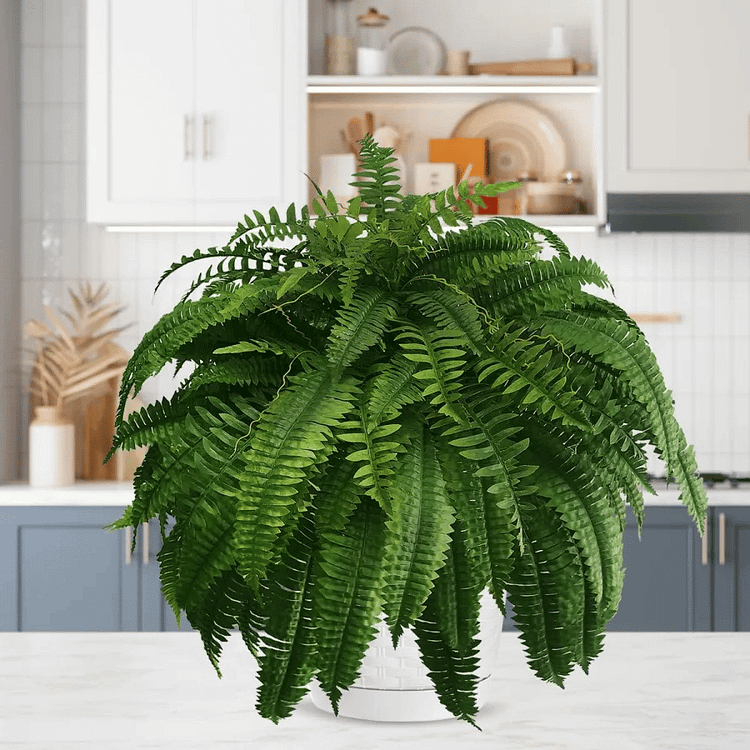 Ferigă Decorativă Artificială – Aspect Realist și Durată Lungă 