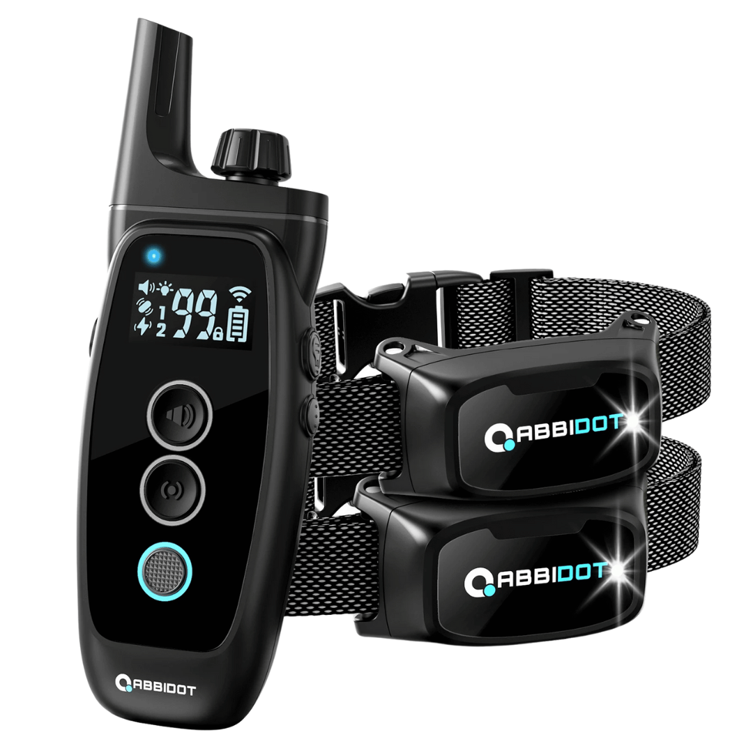 Halsband für Hundetraining – LED-Fernbedienung und Reichweite 1000 m 