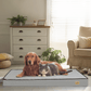 Comfortable Dog Bed – Ideal for Rest and Recovery 