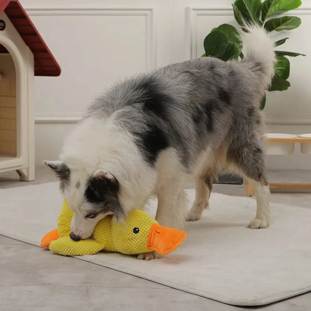 Giocattolo Anatra Rilassante Per Cani – Compagno Di Gioco E Di Relax 